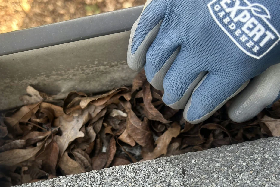 Gutter Cleaning Lumber Bridge