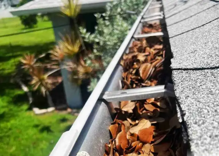 Gutter Cleaning Lumber Bridge home page